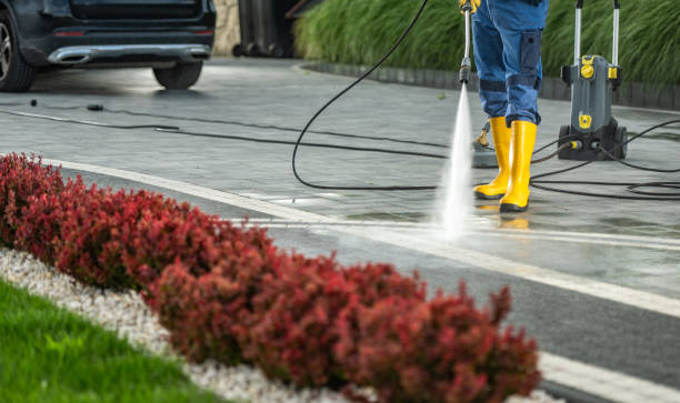 Best Gutter Cleaning  in Derma, MS